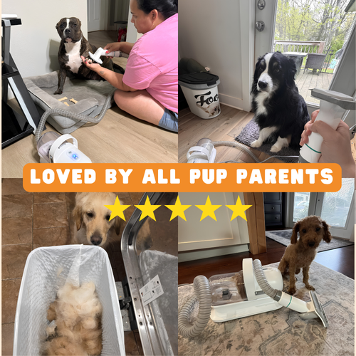 PupVac Pro™ 7-in-1 Grooming Kit